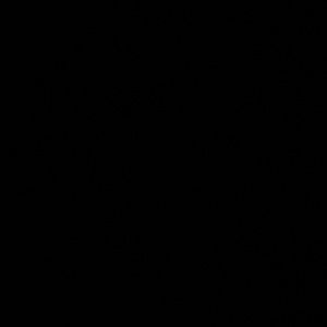 Meet your Posher, Adan